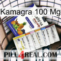 Kamagra100 Mg 11